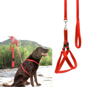 Dog Leash Red With Harness - L