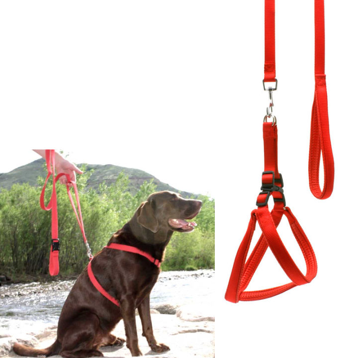 Dog Leash Red With Harness - L
