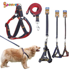 Dog Leash With Harness - XL