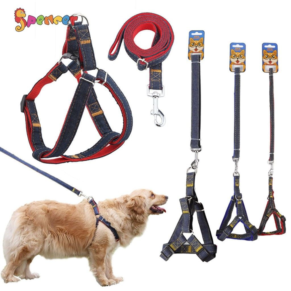 Dog Leash With Harness - XL