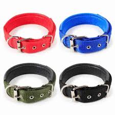 Dog neck belt with leather - large