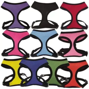 Mesh Harnes - Medium