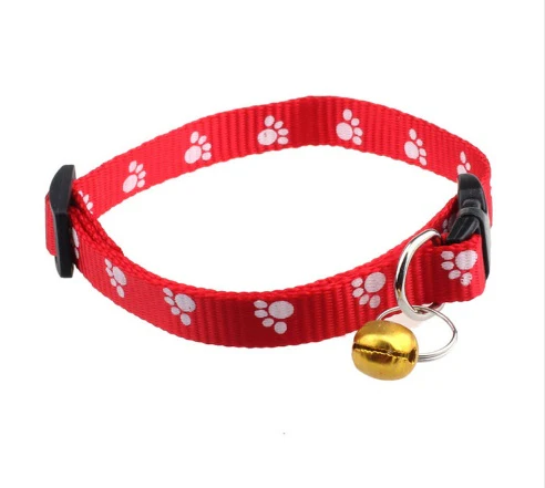 Paw Print Collar - 2.5cm