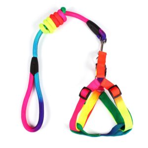 Dog Leash Rainbow WIth Harness M