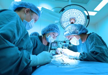 41629652 - group of veterinarian surgery in operation room take with art lighting and blue filter